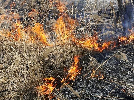 В Волгограде горел сухостой в поселке Селезневка