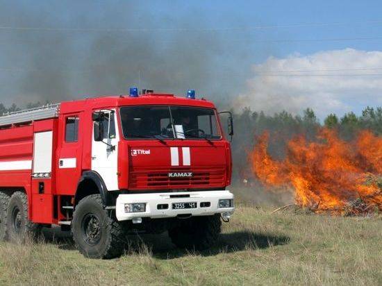 МБУ ЖКХ Волгограда уничтожает сухостой контролируемым палом