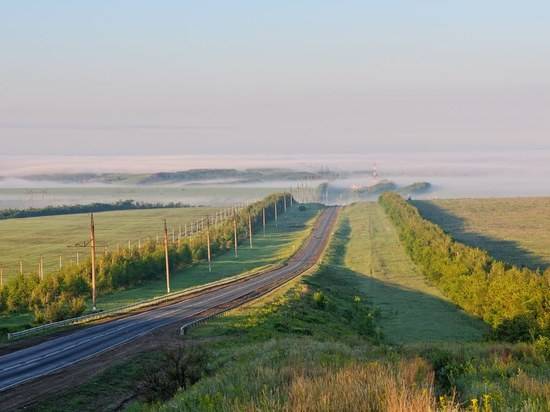 В Волгоградской области приведут в порядок лесополосы вдоль автотрасс