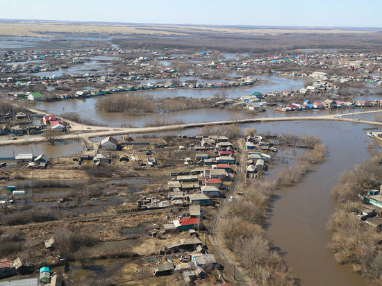 Как не подхватить инфекцию после паводка в Волгоградской области