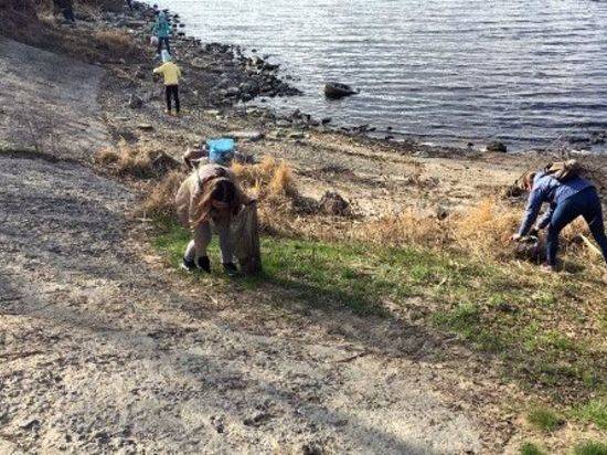 В Камышине горожане на субботнике очистили берег реки