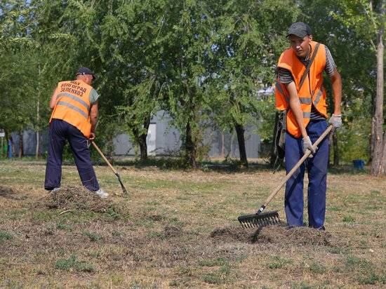 У ФОКа в Кировском районе Волгограда высадят 300 молодых деревьев