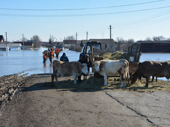 «Большая вода» покинула Волгоградскую область