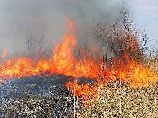 Горящая на севере Волгограда трава напугала местных жителей