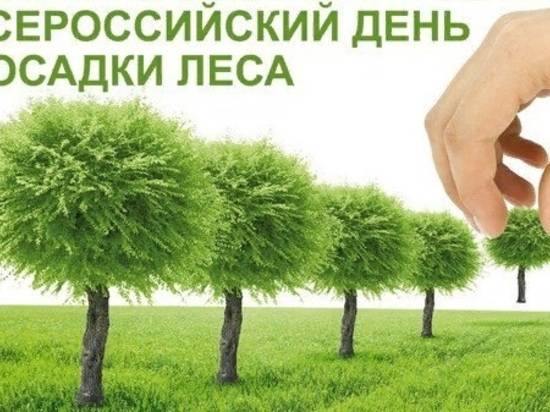 Под Волгоградом на месте прошлогодних пожаров высадили акацию