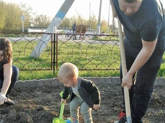 В Чернышковском районе появилась Аллея роз молодых семей