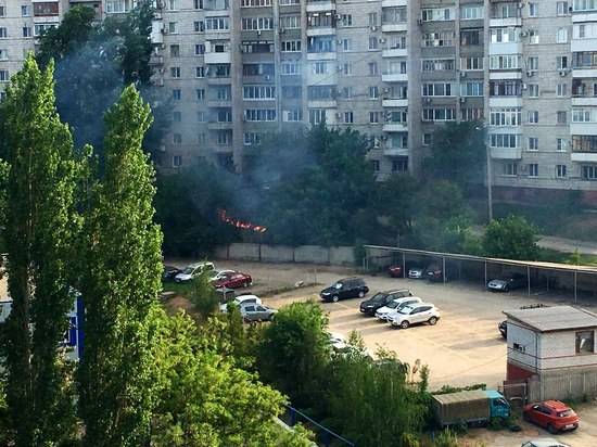 В центре Волгограда загорелся сухостой