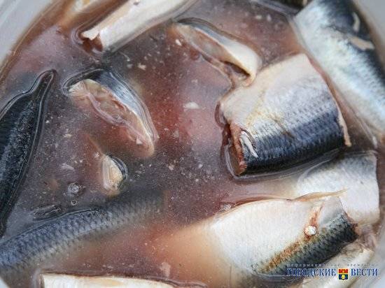 Волгоградские предприятия выловили и вырастили рыбы на 112 миллионов рублей