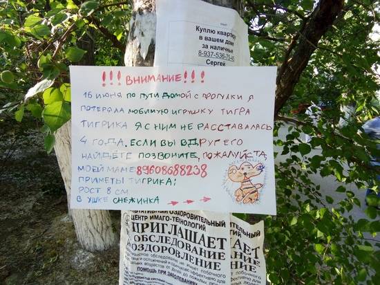 Волгоградка во время прогулки потеряла любимого тигра