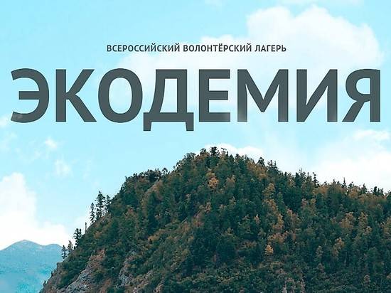 Волгоградских активистов приглашают во Всероссийский экологический лагерь