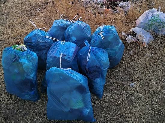 Волгоградец собрал мусор на берегу Волги возле турбазы