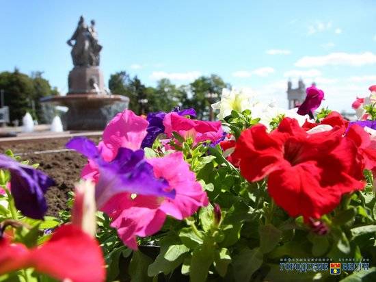 В Чернышковском районе начали благоустройство трех парков в селах