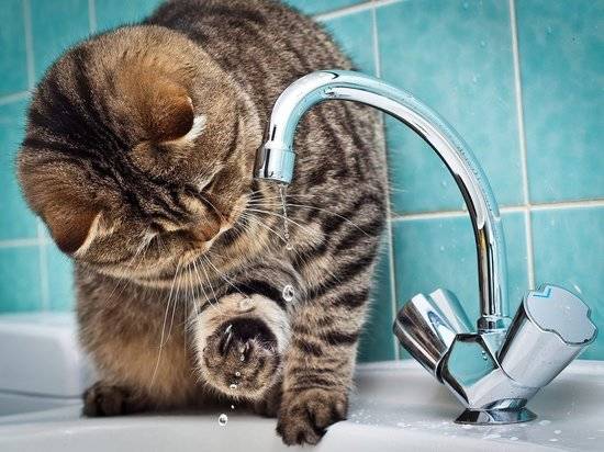 Пять районов Волгограда останутся без горячей воды