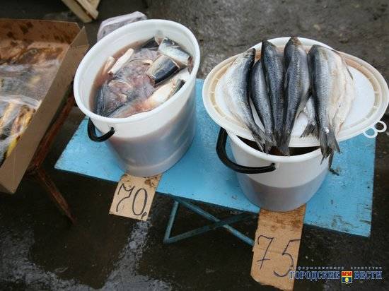За полгода в Волгоградской области продали свежей рыбы на 140 млн рублей