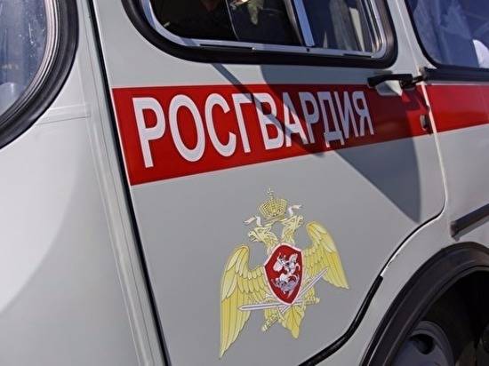 В Волжском прапорщик Котиков на улице Ананасной поймал вора