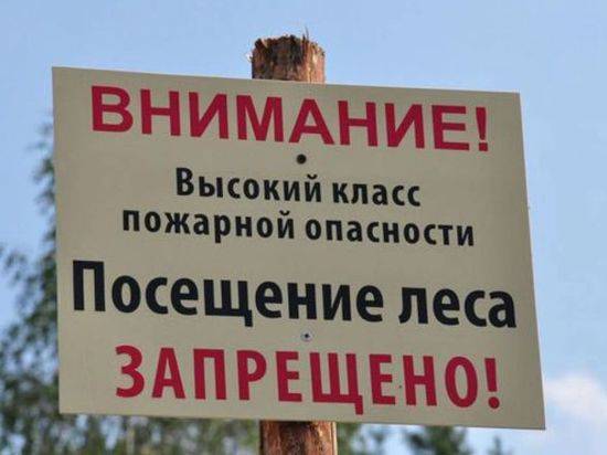В Волгоградской области до конца августа продлили запрет на посещение лесов