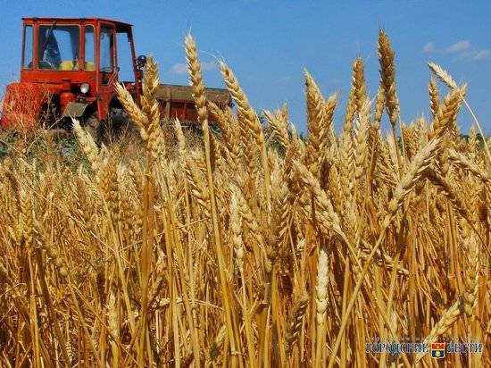 Рубеж в три миллиона тонн зерна преодолели аграрии Волгоградской области