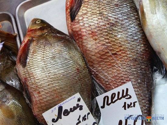 Работников волгоградских рыбных магазинов оштрафовали за морозилку и ценники