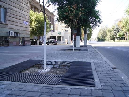 В центре Волгограда ставят 120 «щитов» для деревьев