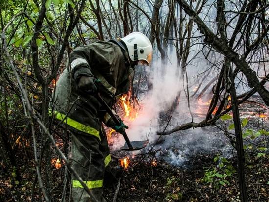 В  Волгоградской области сохраняется угроза «большого огня»