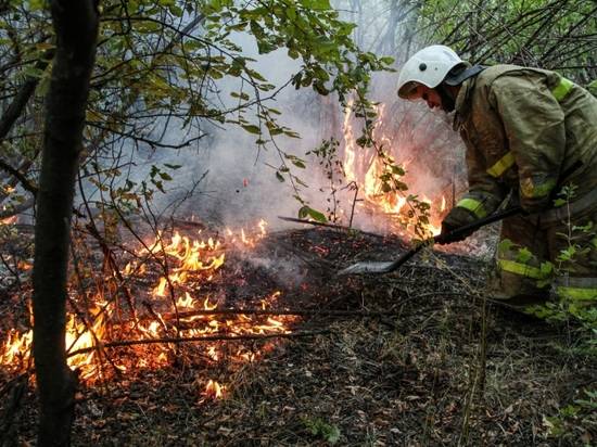 С наступлением осени угроза «большого огня» не отпустит  Волгоградскую область