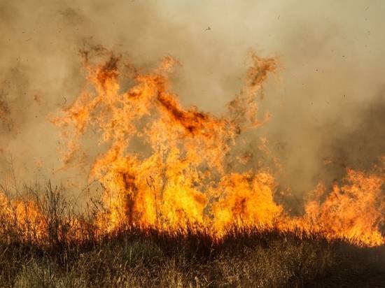 Чрезвычайная пожароопасность сохраняется в Волгоградской области