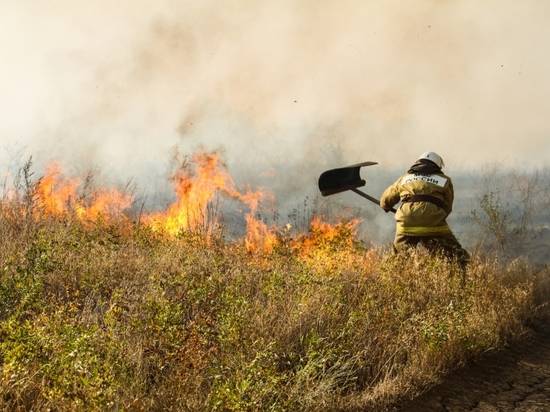 Опасность «большого огня» не покидает Волгоградскую область
