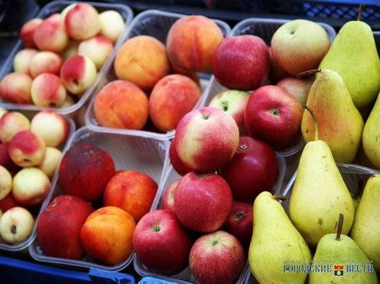 В Волгограде за неделю подешевели яблоки, морковь, лук и картошка