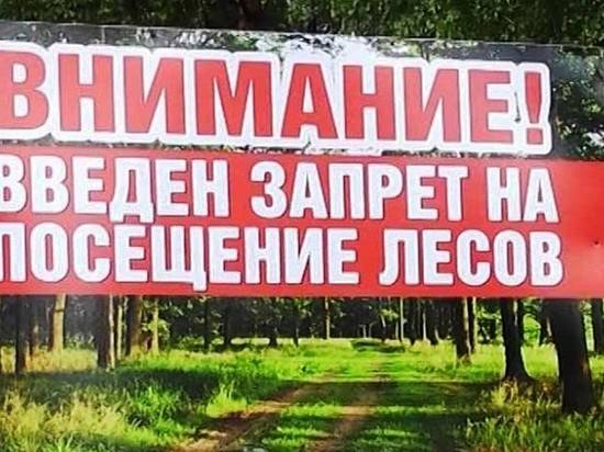 В Волгоградской области запрет посещать леса продлили до 12 октября