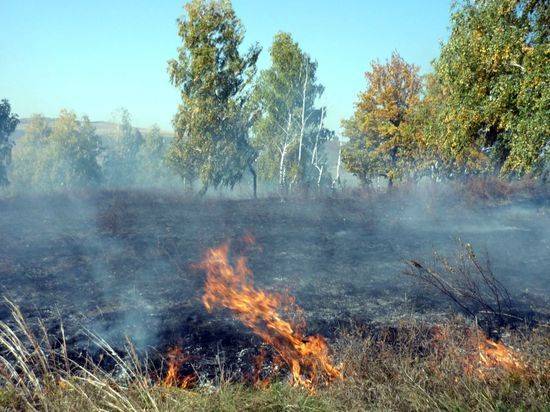 В Волгоградской области сняли особый противопожарный режим