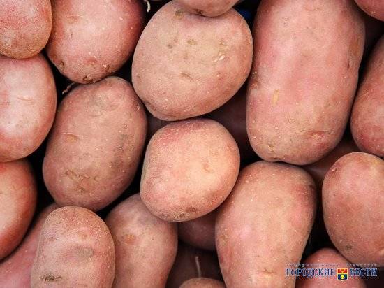Аферист «продал» волгоградцу картошки на 170 тысяч рублей