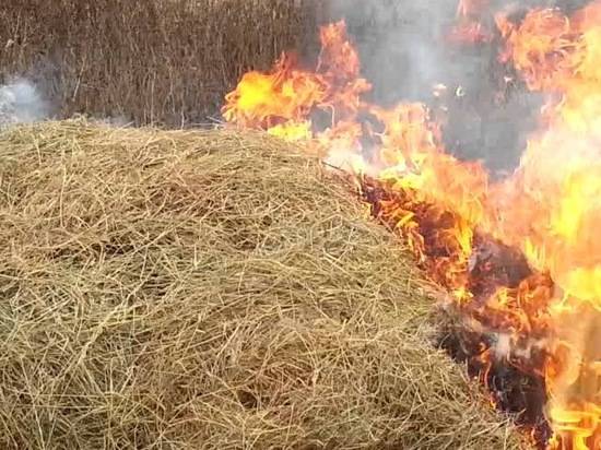 В одном из волгоградских хуторов пожарные 3 часа тушили 30 тонн сена