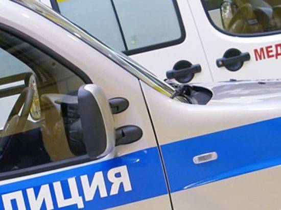 На юге Волгограда «газель» насмерть придавила собственного владельца