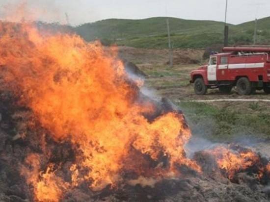 Неосторожные волгоградцы сожгли за сутки около 30 тонн сена