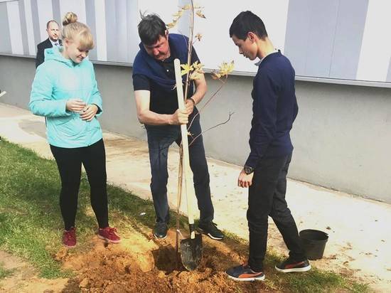 В Волгограде возле «Долины знаний» посадили молодые деревья