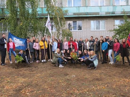 Волгоградские активисты высадили 14 тысяч деревьев и убрали мусор с сотни гектаров леса
