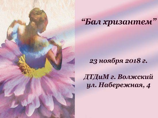 Ботанический сад приглашает волгоградцев на «Бал хризантем»
