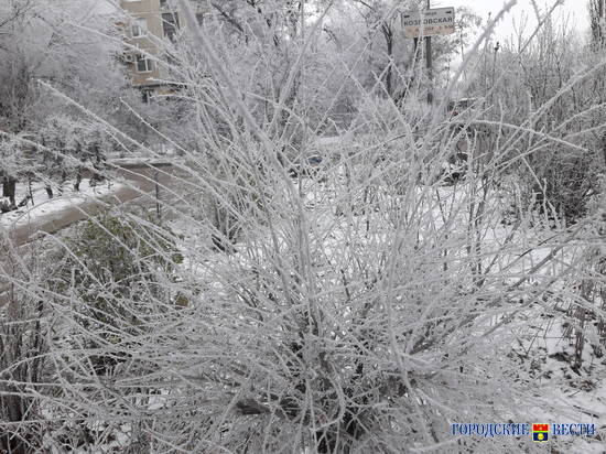 В Волгоград 13 ноября может прийти первый снег