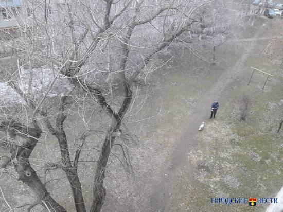 Небольшой мокрый снег обещают синоптики Волгограду 20 ноября