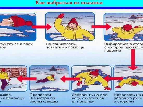 Волгоградцам рассказали, как выбраться из полыньи