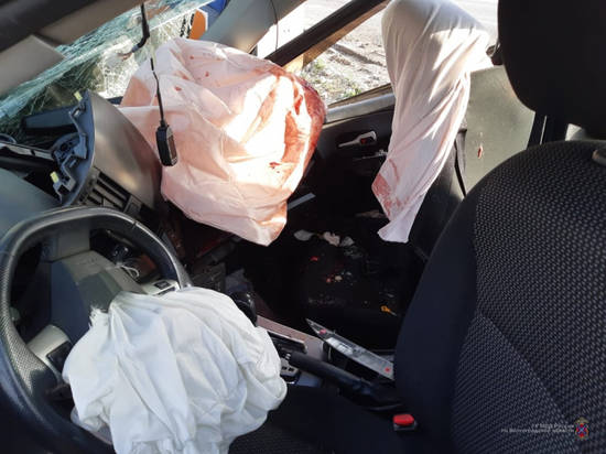Рядом с Эльтоном водитель на BYD врезался в столб: погибла пассажирка