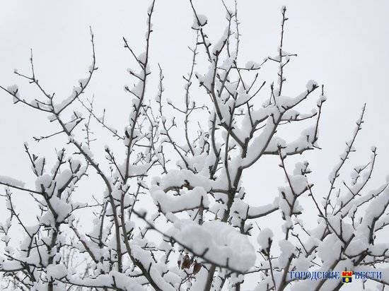 Мокрый снег и дождь: на следующей неделе Волгоград «захватят» осадки