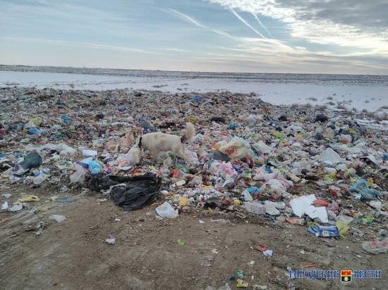 Около 14 гектаров очистят за 2 года при ликвидации свалки в Урюпинске