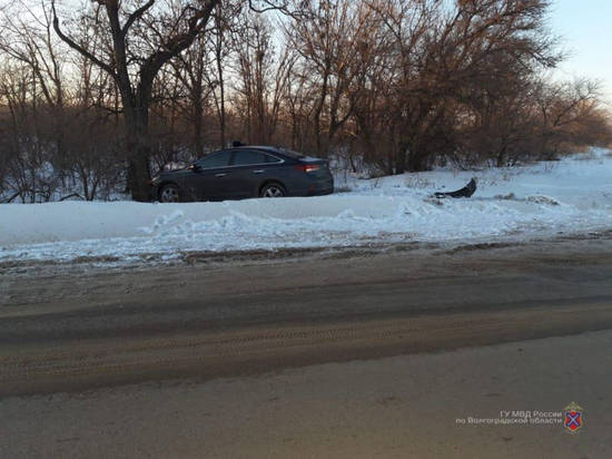 На юге Волгограда 37-летняя автоледи на Hyundai въехала в дерево