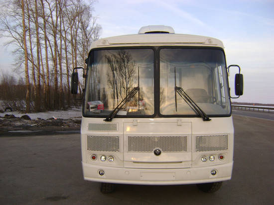 В Воронеже водитель автобуса протащил девушку по асфальту, зажав ногу