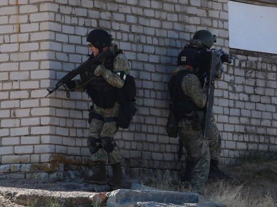 Военный прокурор рассказал, какие меры поддержки полагаются ветеранам боевых действий