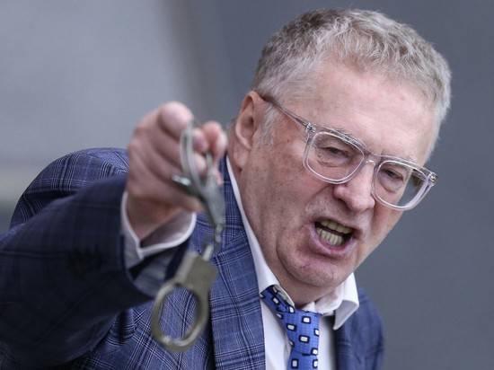 Волгоградскую полицию за поимку вандалов поблагодарил Жириновский