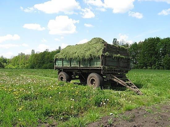 Во Фролово пропавшего шестилетнего мальчика нашли спящим в стогу сена