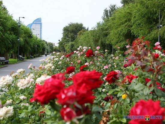 В Волгограде проинспектировали обновленные парки и скверы