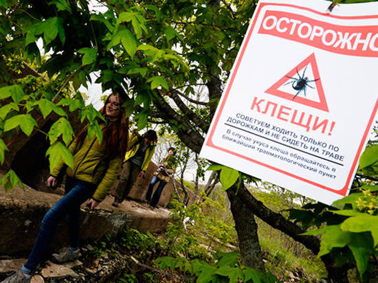 В майские праздники волгоградцы пострадали от укусов клещей